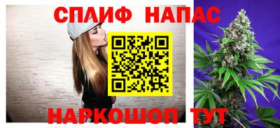 молекула духа Усть-Джегута