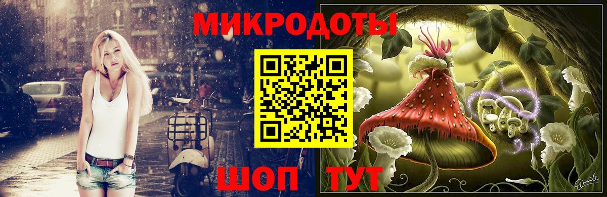 Псилоцибиновые грибы мицелий Аша