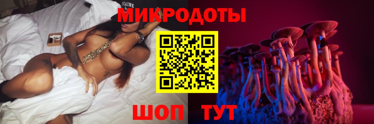 Псилоцибиновые грибы Psilocybe  Вход с VPN  Аша 